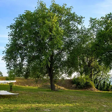 Cozy In Terre Roveresche With Wifi Tavernelle (Pesaro and Urbino)